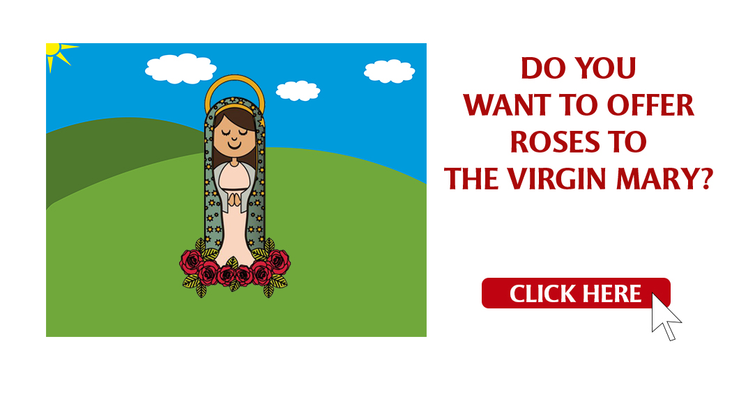 Roses for the Virgin Mary
